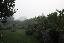 Garten.webp