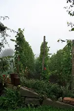 Wein.webp