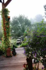 Teichterrasse.webp