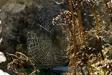 10.9.11 (140 von 221).webp