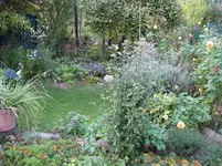 IMG_6627.webp