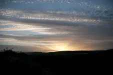 Sonnenaufgang in den Weinbergen.webp