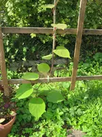 IMG_6667.webp