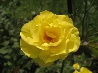 IMG_6670.webp
