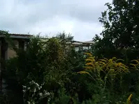 DSCF0003.webp