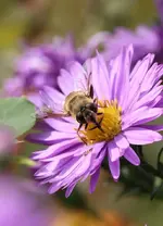 IMG_0848.webp