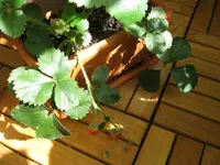 IMG_2274.webp