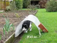 tn_WAS ist... v.webp