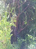 2011-09-12 17.04.35.webp