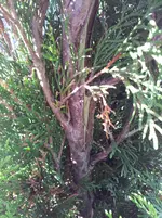 2011-09-12 17.04.42.webp
