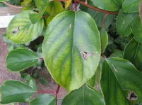 IMG_7072_1067x800.webp