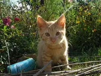 DSC04917.webp