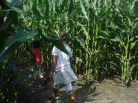 DSC04704.webp