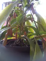 14.09.11 004.webp