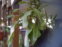 14.09.11 002.webp