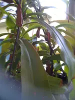 14.09.11 008.webp