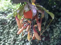 06.07.11 006.webp
