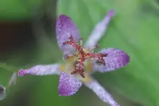 DSC06686.webp