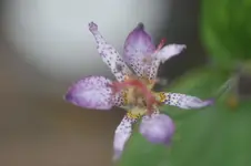 DSC06687.webp
