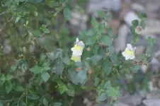 DSC06690.webp