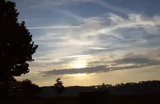 100_3513.webp