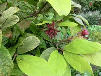 CIMG0177.webp