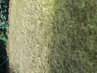 DSC08991.webp