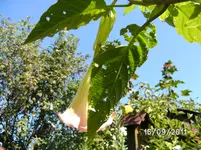 BILD0003.webp