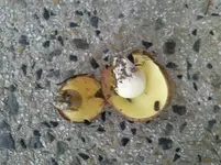 Foto0648.webp Foto0648.webp