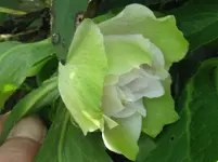IMG_7127_1067x800.webp