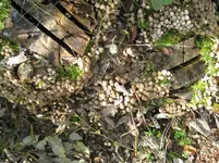 IMG_7099_1067x800.webp