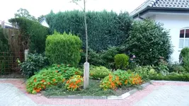 Haus1.webp