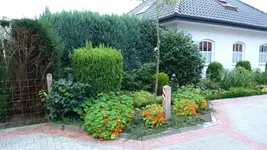 Haus2.webp