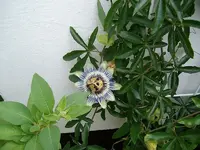ALIM3369.webp