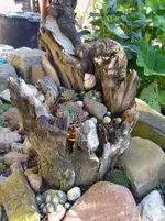 Wurzel mit Wurzen.webp
