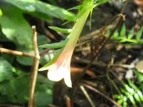 IMG_7134_1067x800.webp