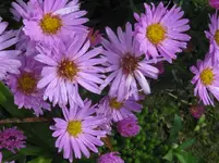 IMG_7138_1067x800.webp