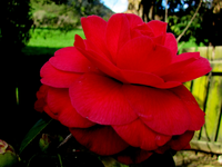 tn_Copy of IMG_6061 v.webp