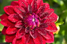14.9.11 (5 von 104).webp
