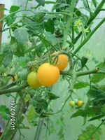 BILD0240.webp