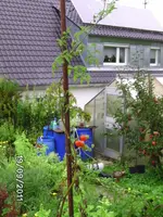 BILD0243.webp