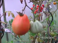 BILD0248.webp
