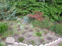 Heidebeet.webp