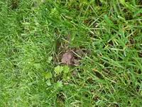 2011-09-16 16.43.51.webp