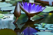 10.9.11 (55 von 221).webp