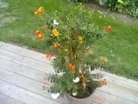 19092011100.webp