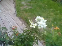 19092011101.webp