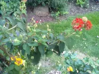 19092011104.webp