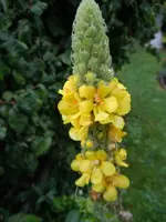 041.webp