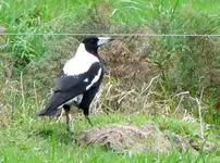 Copy of IMG_6247.webp